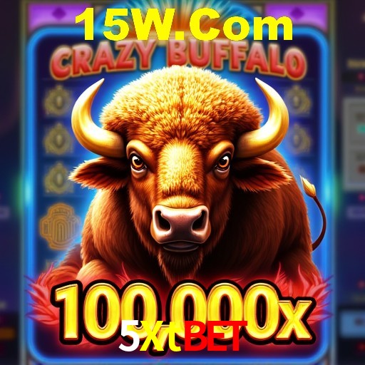Interface Premium 5Xtbet